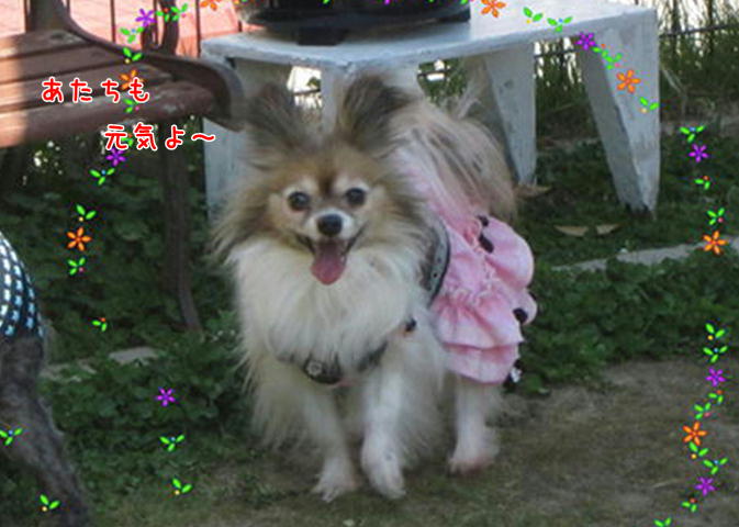 d0139352_7173854.jpg