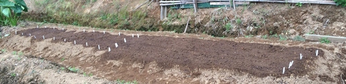 e0082956_17192574.jpg