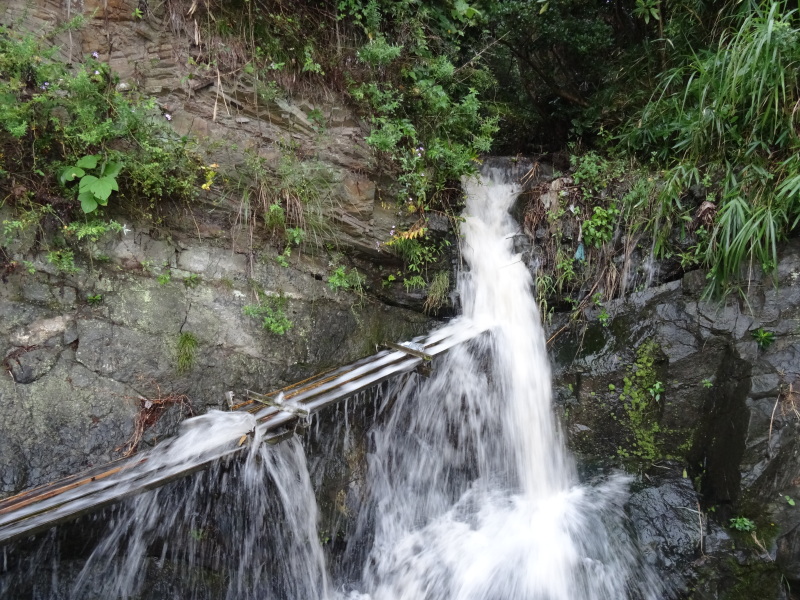 c0108460_17554449.jpg