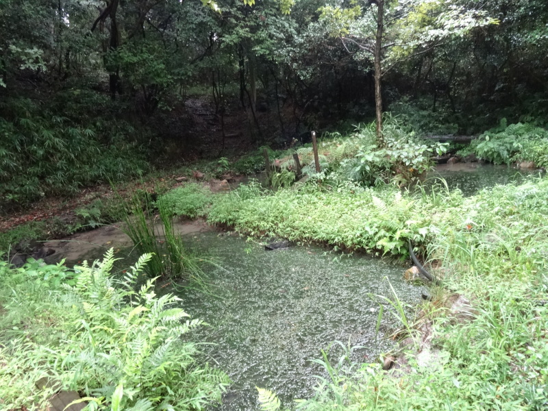 c0108460_17554850.jpg