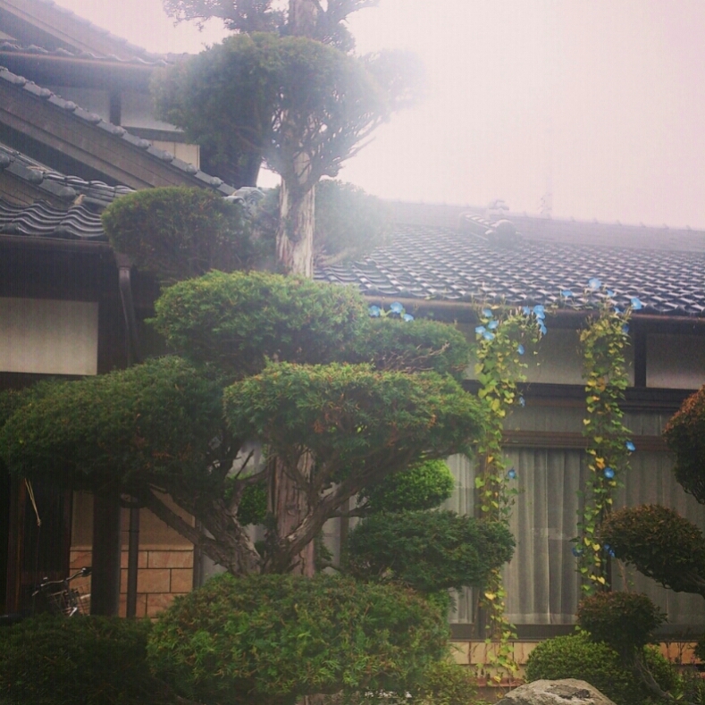 c0311170_159538.jpg