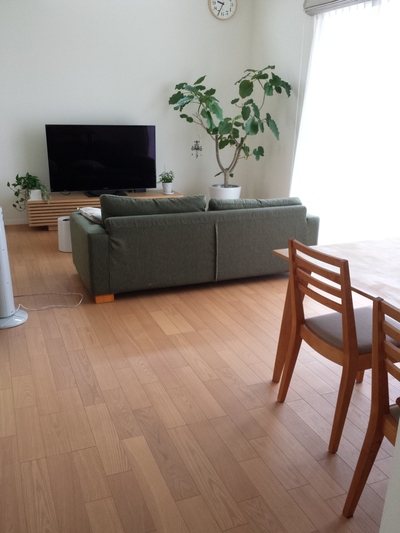f0285780_919657.jpg
