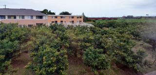 県中部の静かな地域......回りを栗畑.梅畑に囲まれた一戸建て...._b0194185_22561915.jpg