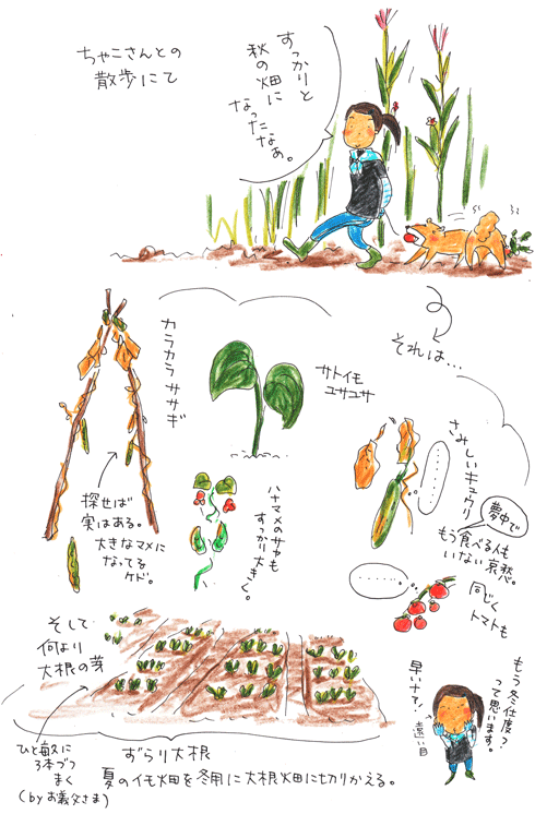 秋の畑_f0236291_15312476.gif