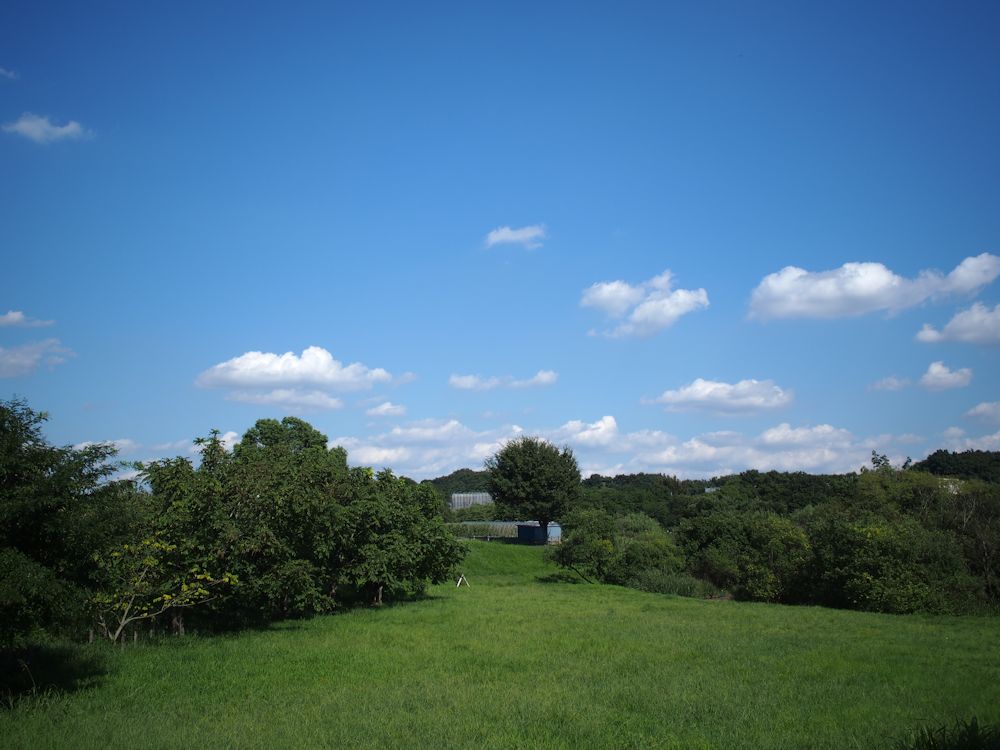 a0278092_20431275.jpg