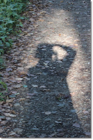 f0146493_215666.jpg