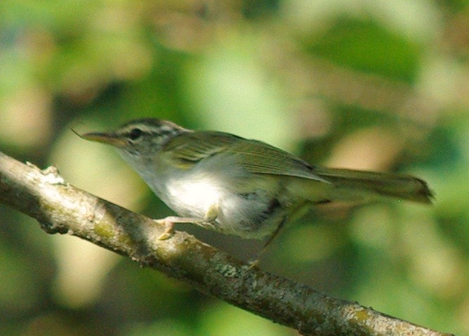 b0028598_18314897.jpg