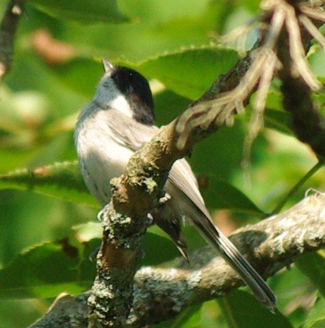 b0028598_1834517.jpg