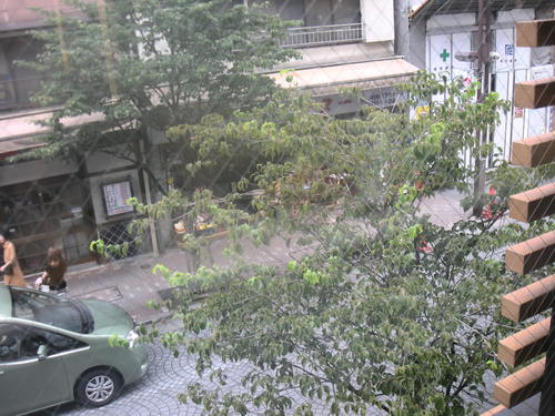 c0177198_2037448.jpg