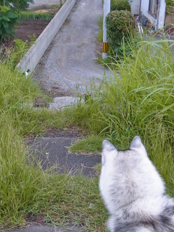 朝もはよから (*^_^*)_c0049299_2215391.jpg