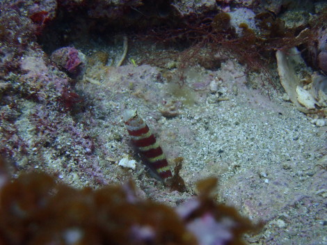 e0115199_15465364.jpg