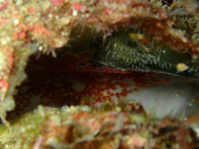 e0115199_15470982.jpg