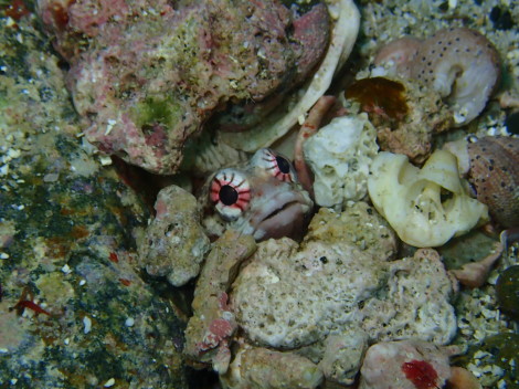 e0115199_15475687.jpg
