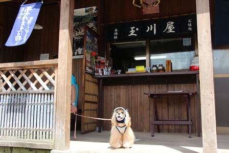 べっちゃんの夏休み♪１日目福島県大内宿_c0128303_21305877.jpg