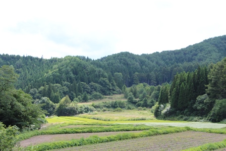 c0128303_21322881.jpg