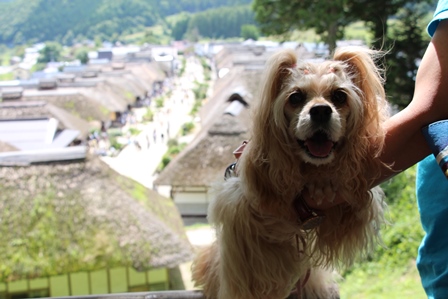 べっちゃんの夏休み♪１日目福島県大内宿_c0128303_2132846.jpg