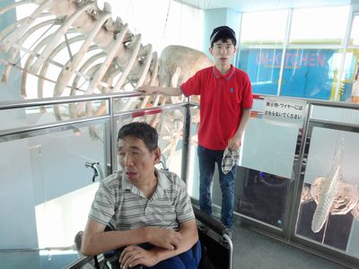 名古屋港水族館へ外出!_a0154110_1872056.jpg