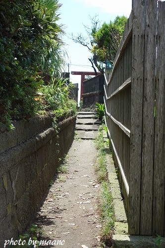 c0155110_226229.jpg