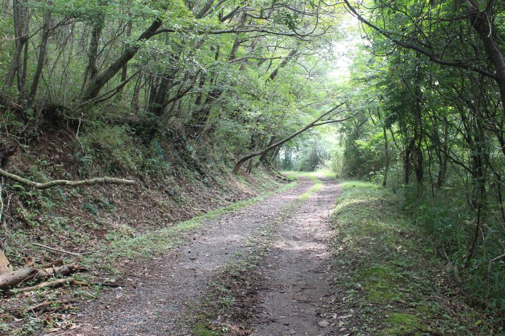 f0212511_72216.jpg