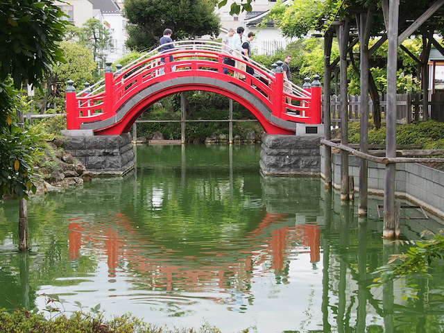 亀戸天神社へ行ってきました_c0248013_1541597.jpg