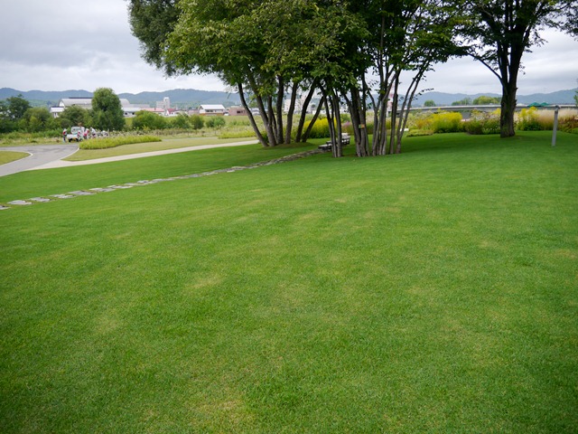 e0336214_13575942.jpg