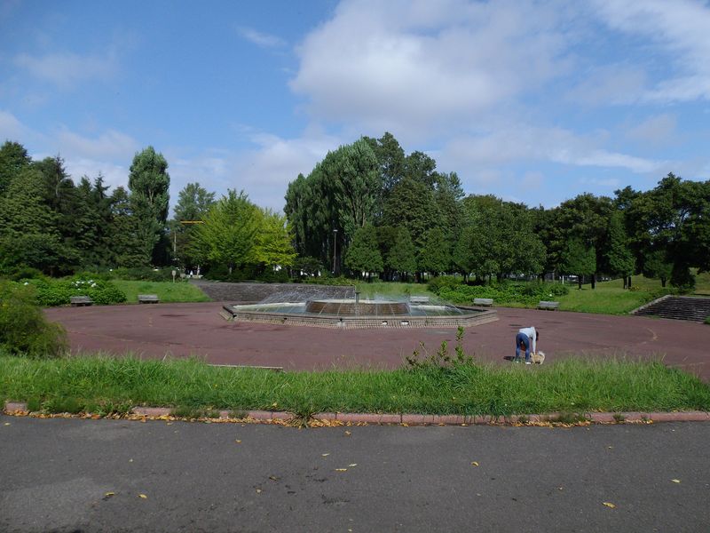 予報より早い回復_c0025115_20413466.jpg