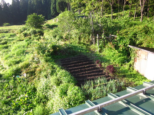 f0203324_13572359.jpg
