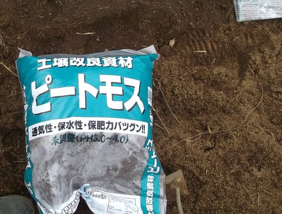 玉ねぎの種まき...今年は成功したい!_b0137932_18244896.jpg