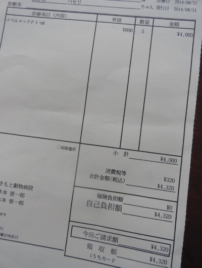 無用の出費 フィラリア予防薬 Parja S Diary 無用の出費 フィラリア予防薬 Parja S Diary