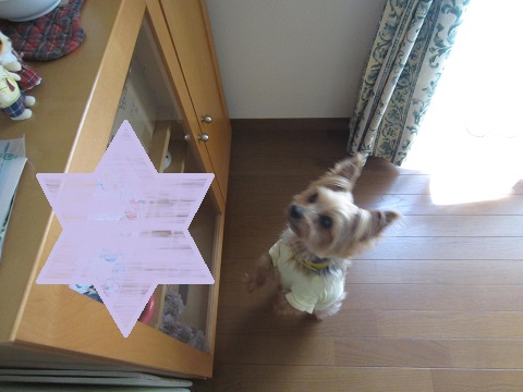f0002833_1128146.jpg