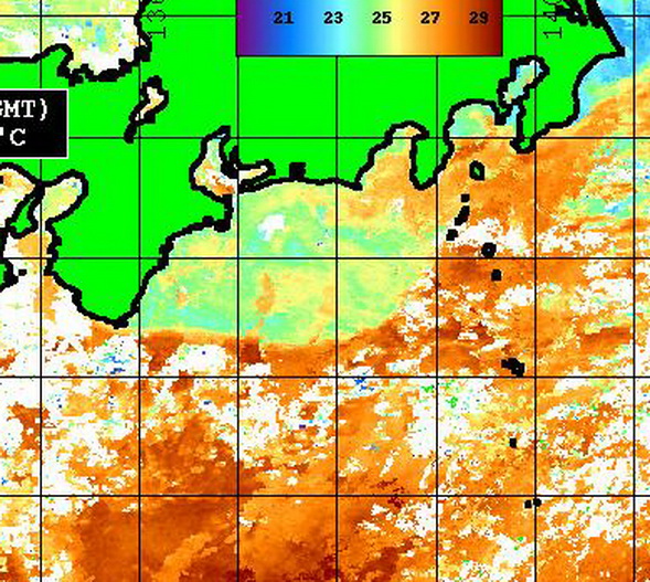 今週末の潮は・・・・【カジキ・マグロトローリング】_f0009039_10241294.jpg