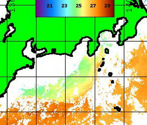 今週末の潮は・・・・【カジキ・マグロトローリング】_f0009039_10241893.jpg