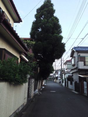 c0206342_5513559.jpg