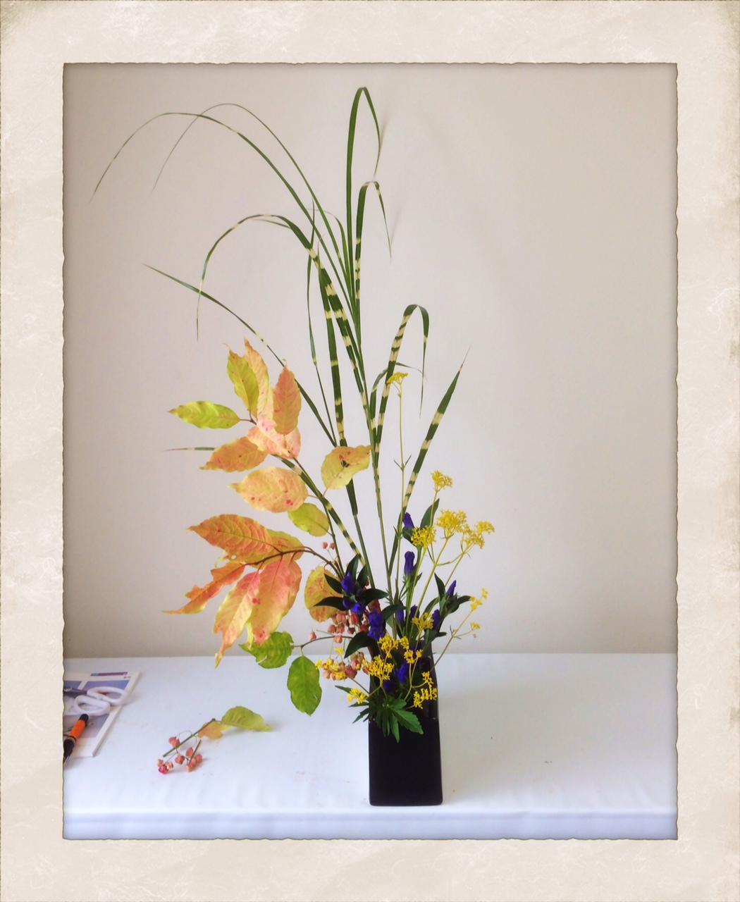 秋の生け花 女郎花 かもめのりしあ