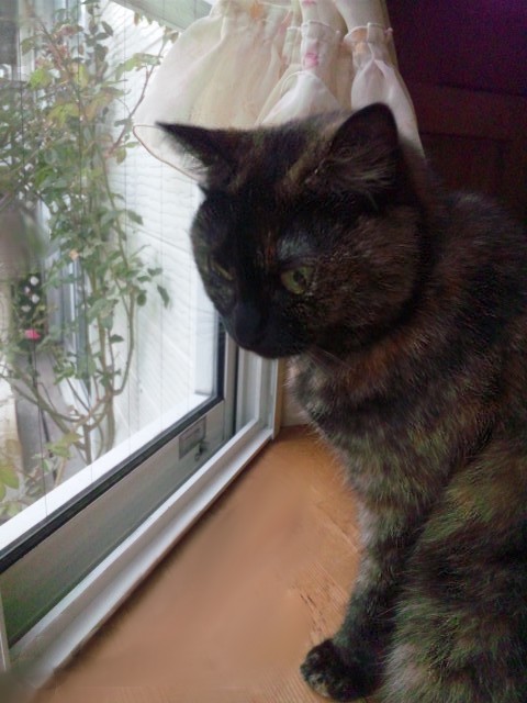 a0305046_09302775.jpg