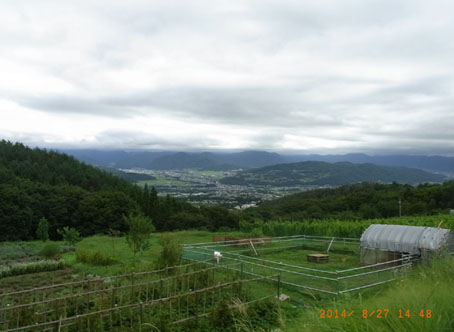 b0075364_91507.jpg