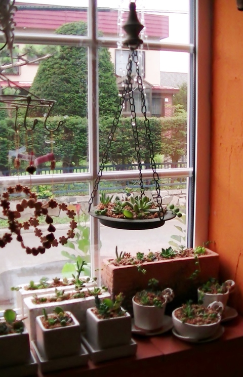c0236172_329830.jpg