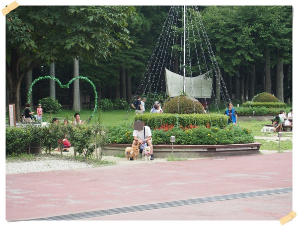 e0330372_8121237.jpg