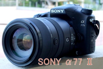 SONY α77Ⅱの試写結果 その2_b0132475_11235825.jpg