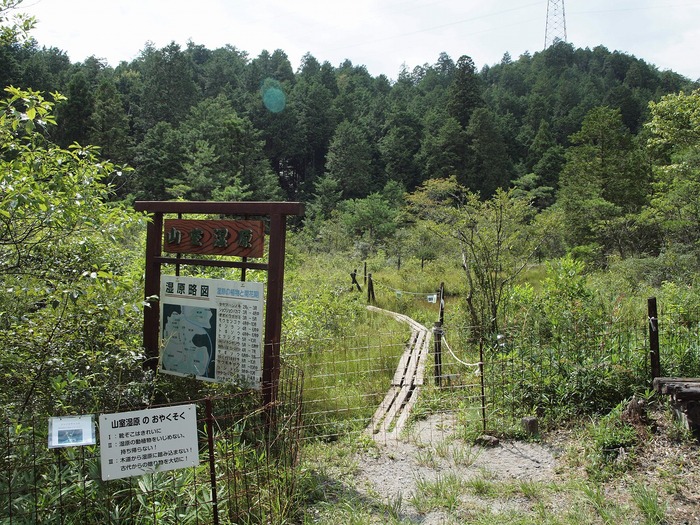 『ミミカキグサとハッチョウトンボ』_d0054276_2014818.jpg