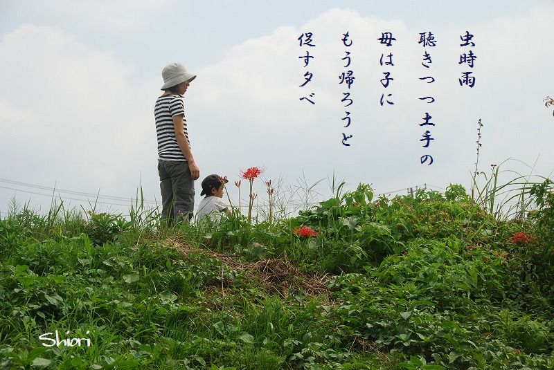 c0187781_16245080.jpg