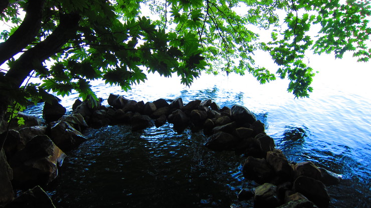 a0242984_12144729.jpg