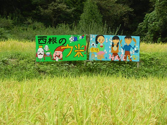 9月5日の田んぼ(月光原小・西根小)_d0247484_15362513.jpg