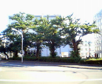 医大界隈の変遷_f0078286_94477.jpg
