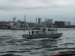 b0192588_9435487.jpg