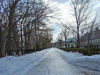 b0348195_23587.jpg