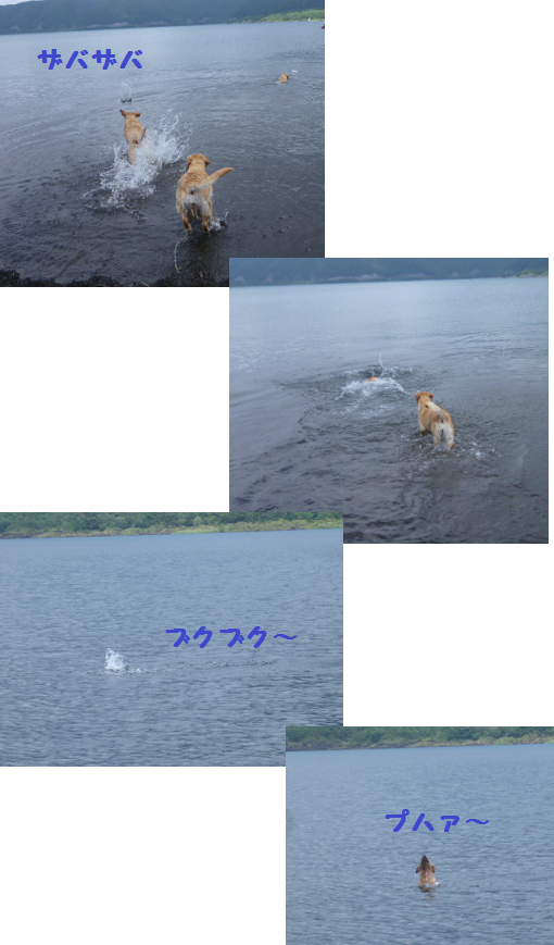 d0282395_22562041.png