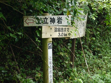 b0118001_21584123.jpg