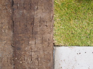 c0039501_1020220.jpg