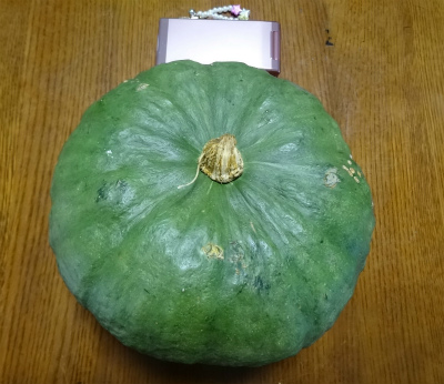 c0125501_20325330.jpg
